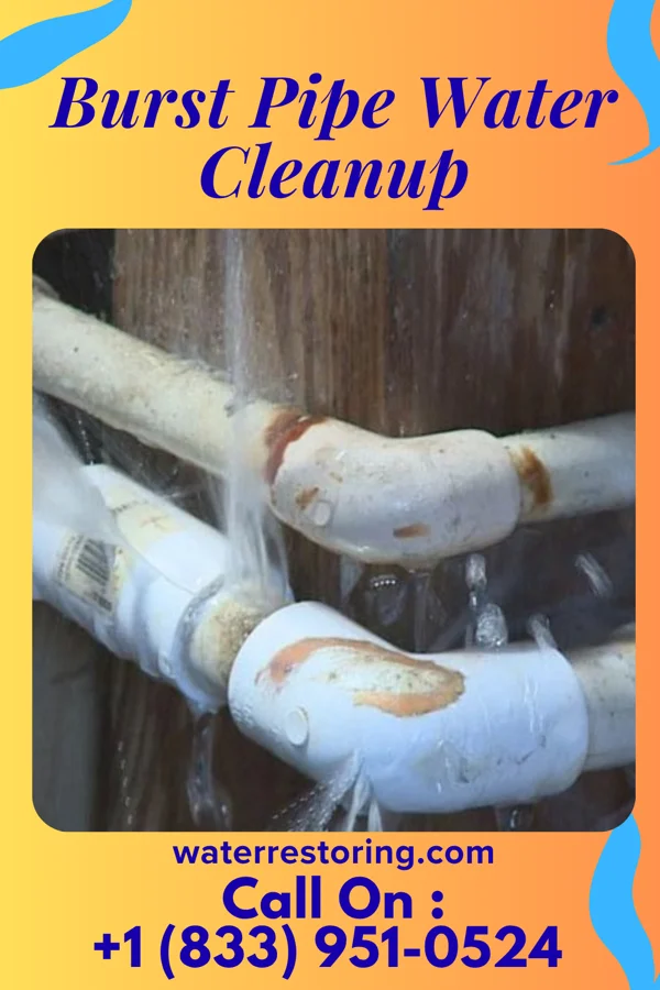 Burst Pipe Water Cleanup in Concord, GA