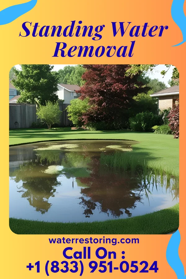 Standing Water Removal in Concord, GA